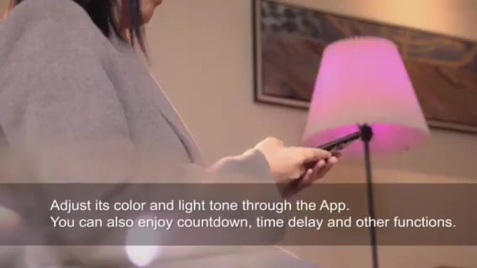 Smart Bulb